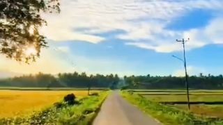 Beautiful nature 39