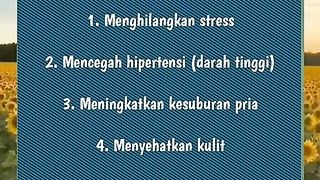 today's words 4