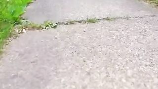 Cat adventure 7