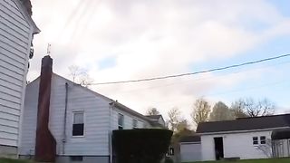 Cat adventure 8