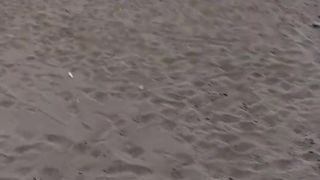 Beach scenery 3