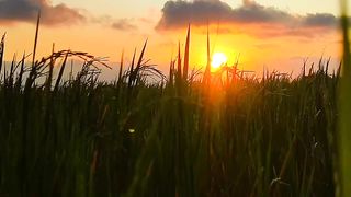 Sunset 23