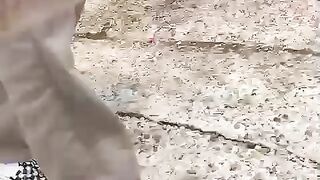 Sheep and kids