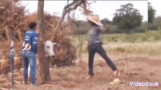 Funny video goat vs human