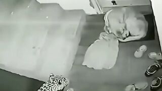 Leopard attacks dog