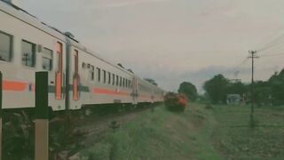 Sunset Train