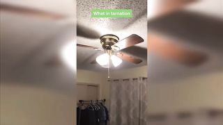 Funny tiktok????