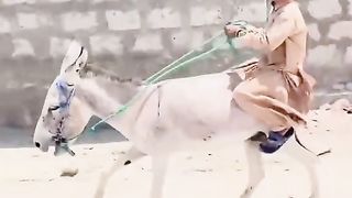 Heavy Rider YouTube shorts video