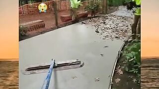 funny videos 43