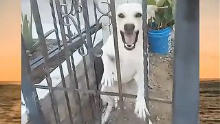 funny?