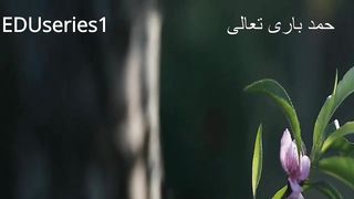 hamd-e-bari ta'aala