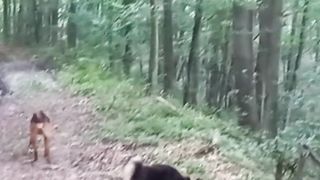 Beautiful nature 41