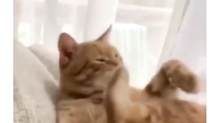 When the brain and body are out of sync