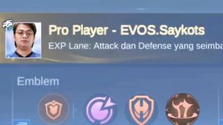 Mobile legends 23