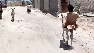 har-e-race.