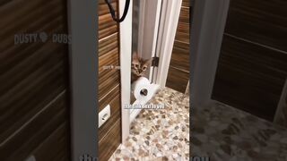 Watch without laugh