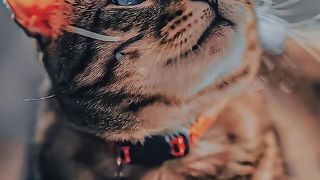 Music slowly