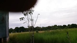Sawah di desa