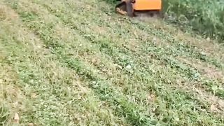 Mobil pemotong rumput