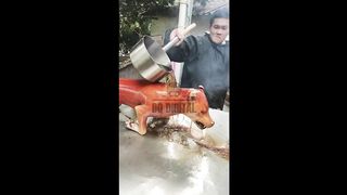 Unusual extreme food is disgusting