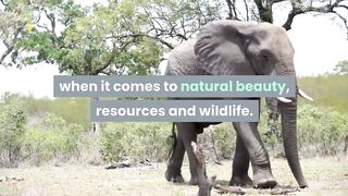 Top 10 Endangered Animals in PAKISTAN | Endangered Species | Animal Globe