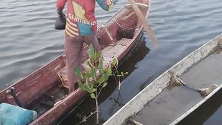 Mencari Udang