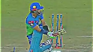 Cricket 52