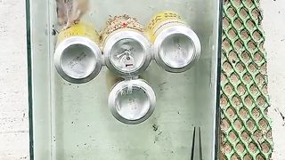 Easy mouse trap