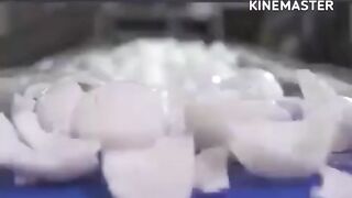 Pengolahan Kelapa