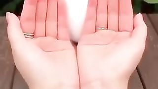Funny dog 31