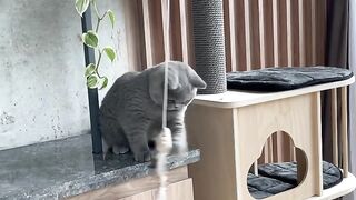 Playing with new toy