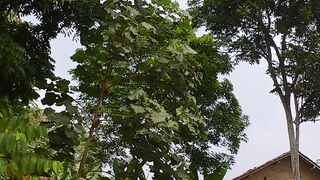 Random video 10
