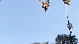 прикольно