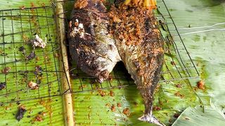 Ikan tongkol