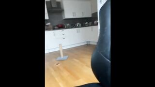 New Funny Animals ???? Funniest Cats and Dogs Videos ???????? 6