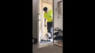 ???? It's To LAUGH When Watching This Video Of The FUNNIEST CATS On Earth ???? - Funny Cats Life 3