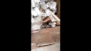 Funniest Animals Videos 2023 ???? Try Not To Laugh Funny Dogs And Cat ???? 7