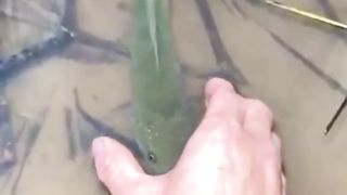 hand of gods
