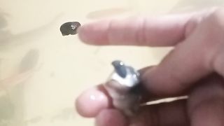 Ikan lele(cat fish) makan keong mas(eating snail)