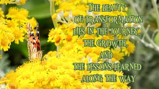 The Beauty of Transformation
