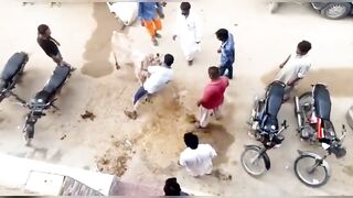 Qurbani 2023 Funniest Moments Of Animals -- Qasai Anari Janwer Khilari