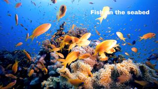In the depths of the sea