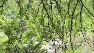 Kedudukan yang paling tinggi