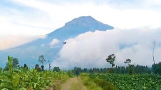 Beautifull Panorama