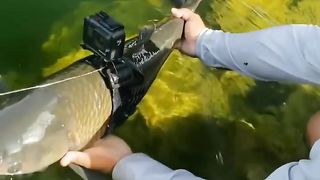 GOPRO on a FISH