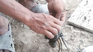 KEPITING BAKAU
