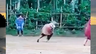 mom football makes you laugh