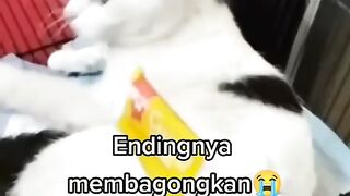 Cup cup cup don't be angry wkwkw