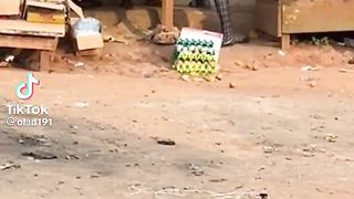Vidéo drôle 24