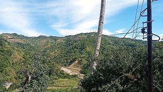 A Blissful Afternoon in the Valley.